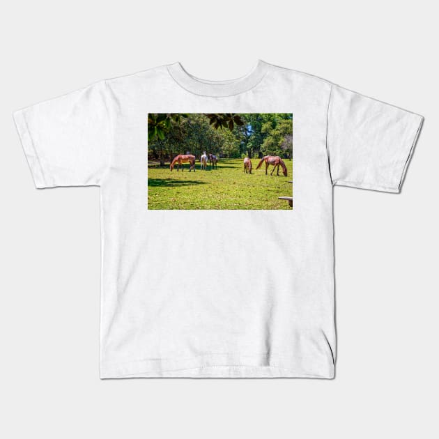 Wild Horses at Cumberland Island National Seashore Kids T-Shirt by Gestalt Imagery